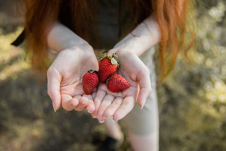 Les fraises père Noël : une recette idéale pour cuisiner avec les tout-petits